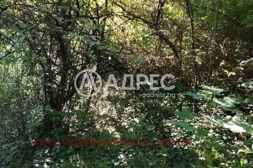 ������� ������ | Imot.bg � ����������� 3