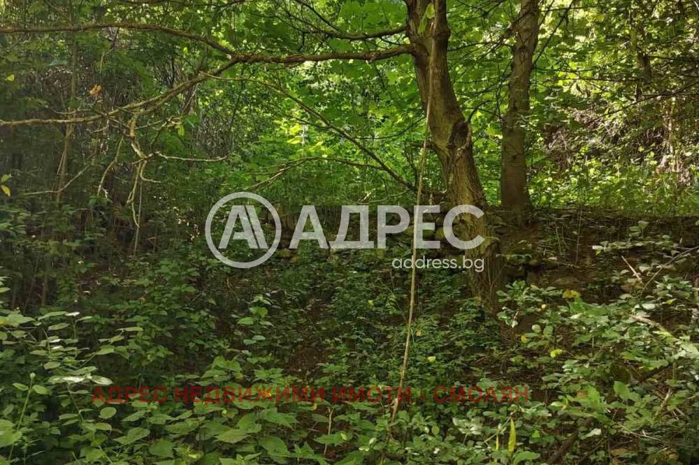 ������� ������ | Imot.bg � ����������� 4
