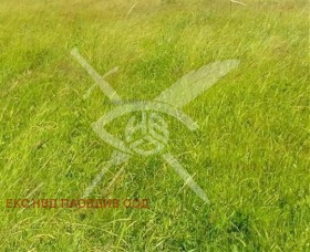 Продава  Парцел, с. Ягодово