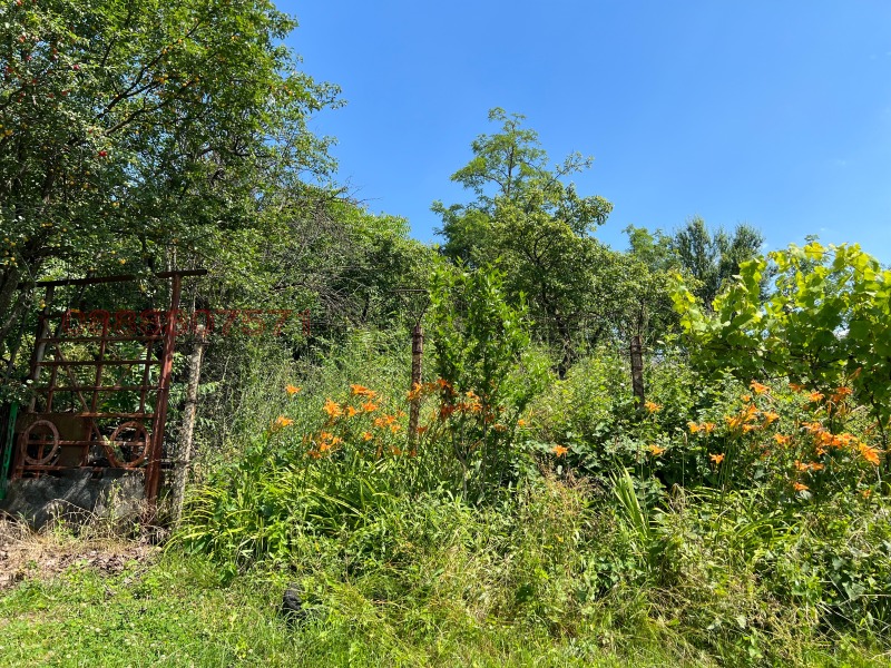Til salgs  Hus region Pleven , Suhasje , 200 kvm | 55843369 - bilde [4]