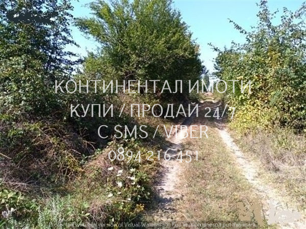 Продава ПАРЦЕЛ, с. Драгойново, област Пловдив, снимка 2 - Парцели - 52555777