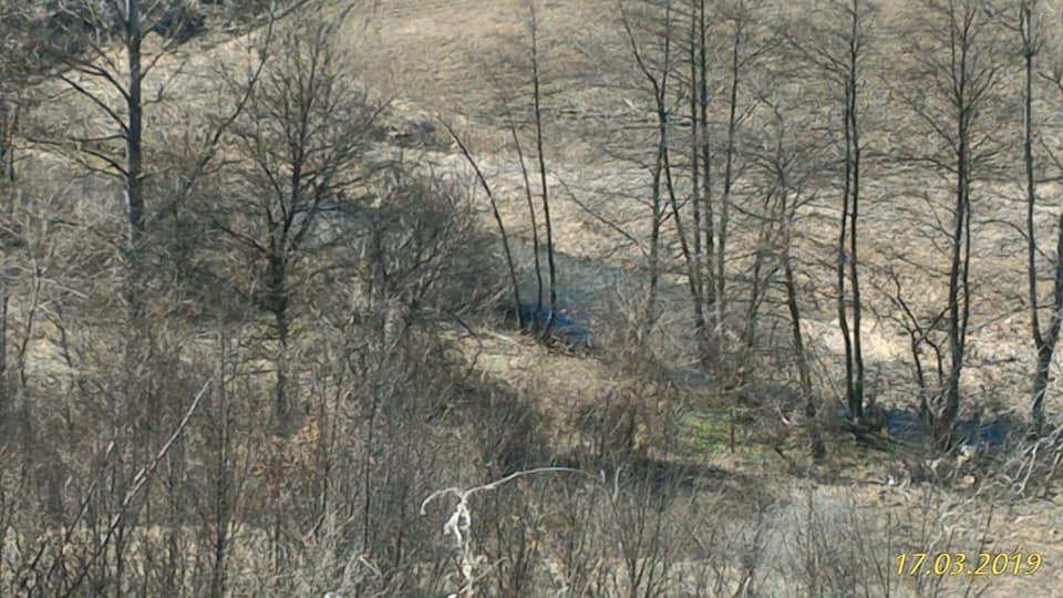Продава ЗЕМЕДЕЛСКА ЗЕМЯ, с. Вълчек, област Видин, снимка 4 - Земеделска земя - 56227779