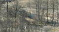 Продава ЗЕМЕДЕЛСКА ЗЕМЯ, с. Вълчек, област Видин, снимка 4