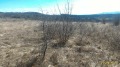 Продава ЗЕМЕДЕЛСКА ЗЕМЯ, с. Вълчек, област Видин, снимка 9