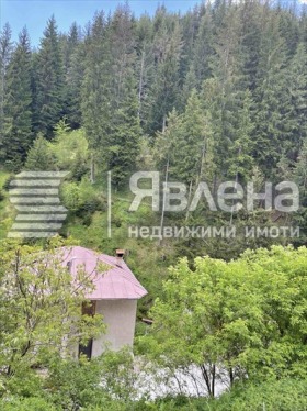 Дом Виево, область Смолян