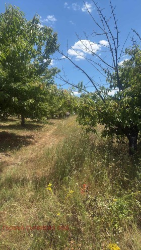 ������� ���������� ���� | Imot.bg � ����� ������ 15