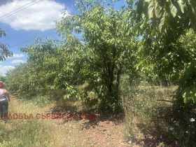 ������� ���������� ���� | Imot.bg � ����� ������ 11