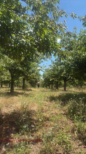 ������� ���������� ���� | Imot.bg � ����� ������ 17