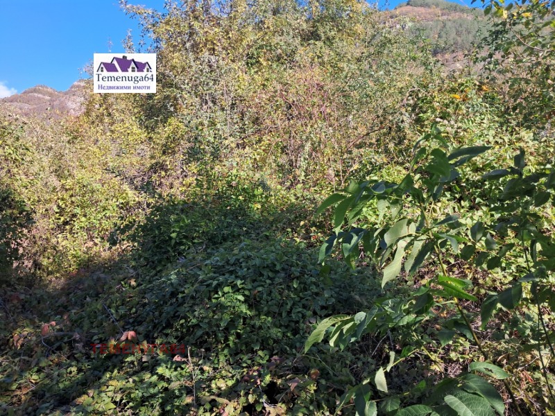 Продава ПАРЦЕЛ, с. Церово, област София област, снимка 2 - Парцели - 52642625