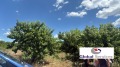 Продава ЗЕМЕДЕЛСКА ЗЕМЯ, с. Горна Гращица, област Кюстендил, снимка 1
