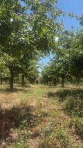 Продава ЗЕМЕДЕЛСКА ЗЕМЯ, с. Горна Гращица, област Кюстендил, снимка 17