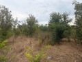 Продава  Парцел град Варна , с. Тополи , 3768 кв.м | 57922573 - изображение [2]