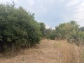Продава  Парцел град Варна , с. Тополи , 3768 кв.м | 57922573
