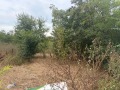 Продава  Парцел град Варна , с. Тополи , 3768 кв.м | 57922573 - изображение [8]