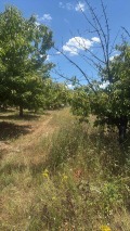 Продава  Земеделска земя област Кюстендил , с. Горна Гращица , 10 дка | 50218075 - изображение [15]