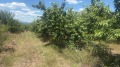 Продава  Земеделска земя област Кюстендил , с. Горна Гращица , 10 дка | 50218075 - изображение [10]