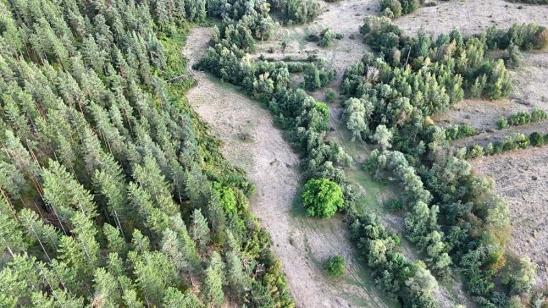 Продаја  Плот регион Софиа , Самоков , 4000 м2 | 15152146 - слика [12]