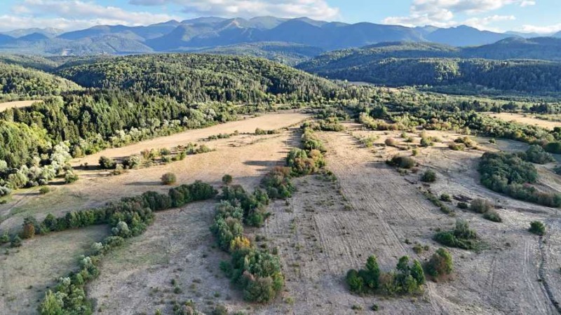 Продаја  Плот регион Софиа , Самоков , 4000 м2 | 15152146 - слика [4]
