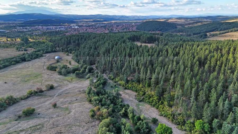 Продаја  Плот регион Софиа , Самоков , 4000 м2 | 15152146 - слика [11]