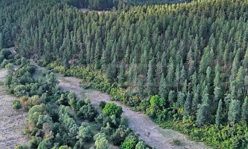 Продаја  Плот регион Софиа , Самоков , 4000 м2 | 15152146 - слика [10]