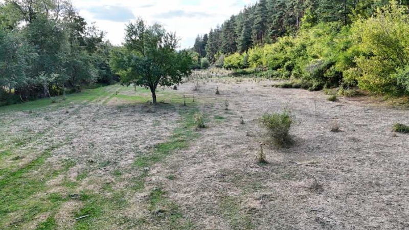 Продаја  Плот регион Софиа , Самоков , 4000 м2 | 15152146 - слика [17]