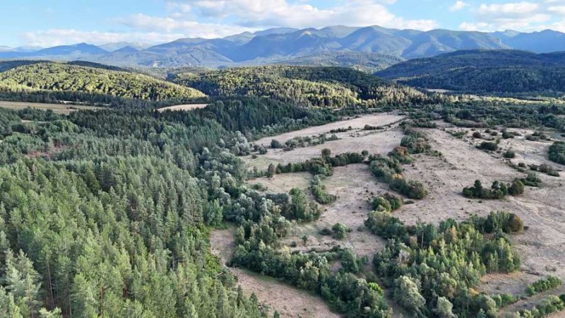 Продаја  Плот регион Софиа , Самоков , 4000 м2 | 15152146 - слика [14]