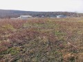 Продава ПАРЦЕЛ, гр. Плевен, Сторгозия, снимка 3