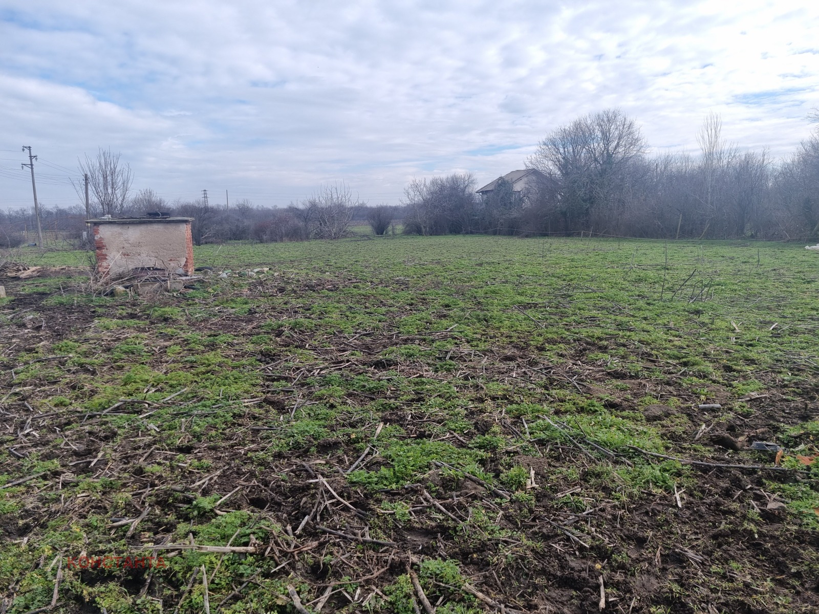 ������� ���� | Imot.bg � ����������� 12