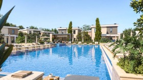 ����� ������� ����,��. �������, ������ ������