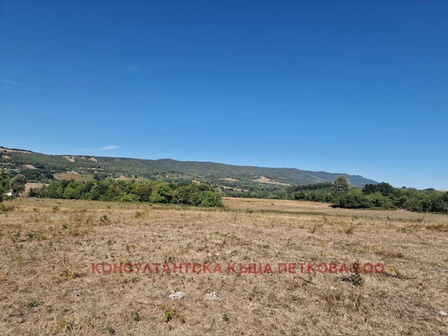 Продава ЗЕМЕДЕЛСКА ЗЕМЯ, с. Голяма Желязна, област Ловеч, снимка 4 - Земеделска земя - 52484365