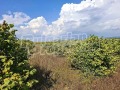 Продава ЗЕМЕДЕЛСКА ЗЕМЯ, с. Кюлевча, област Шумен, снимка 5