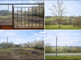 ����� ������� ������,�. ��������, ������ ������