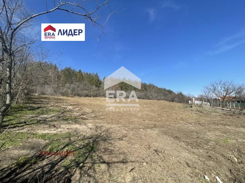 Продава ПАРЦЕЛ, с. Николово, област Русе, снимка 2 - Парцели - 54827672
