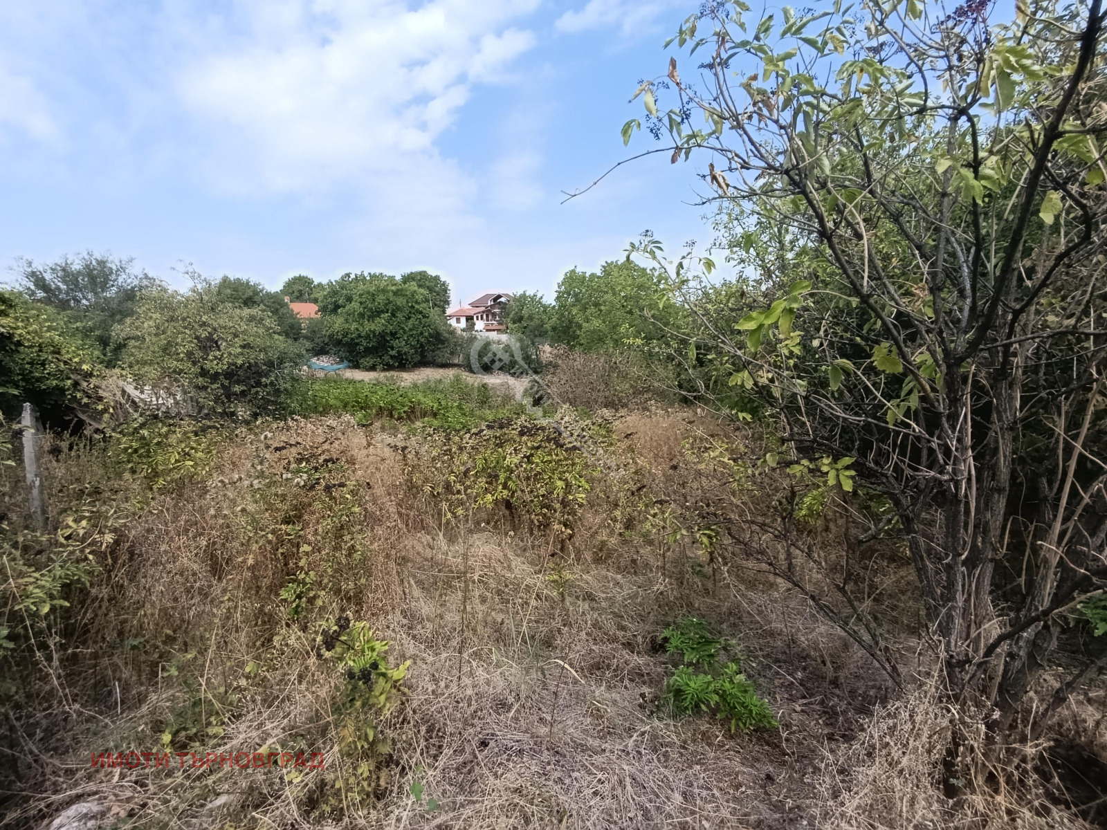 Продава ПАРЦЕЛ, с. Беляковец, област Велико Търново, снимка 2 - Парцели - 51719532