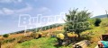 Продава ПАРЦЕЛ, с. Равадиново, област Бургас, снимка 9