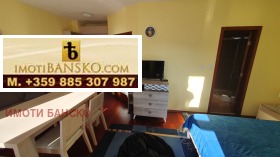 Studio Bansko, region Blagoevgrad 8