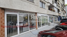 ����� ������� �������,���� �����, �������