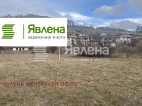 ����� ������� ������,��. ����������, ������ �����