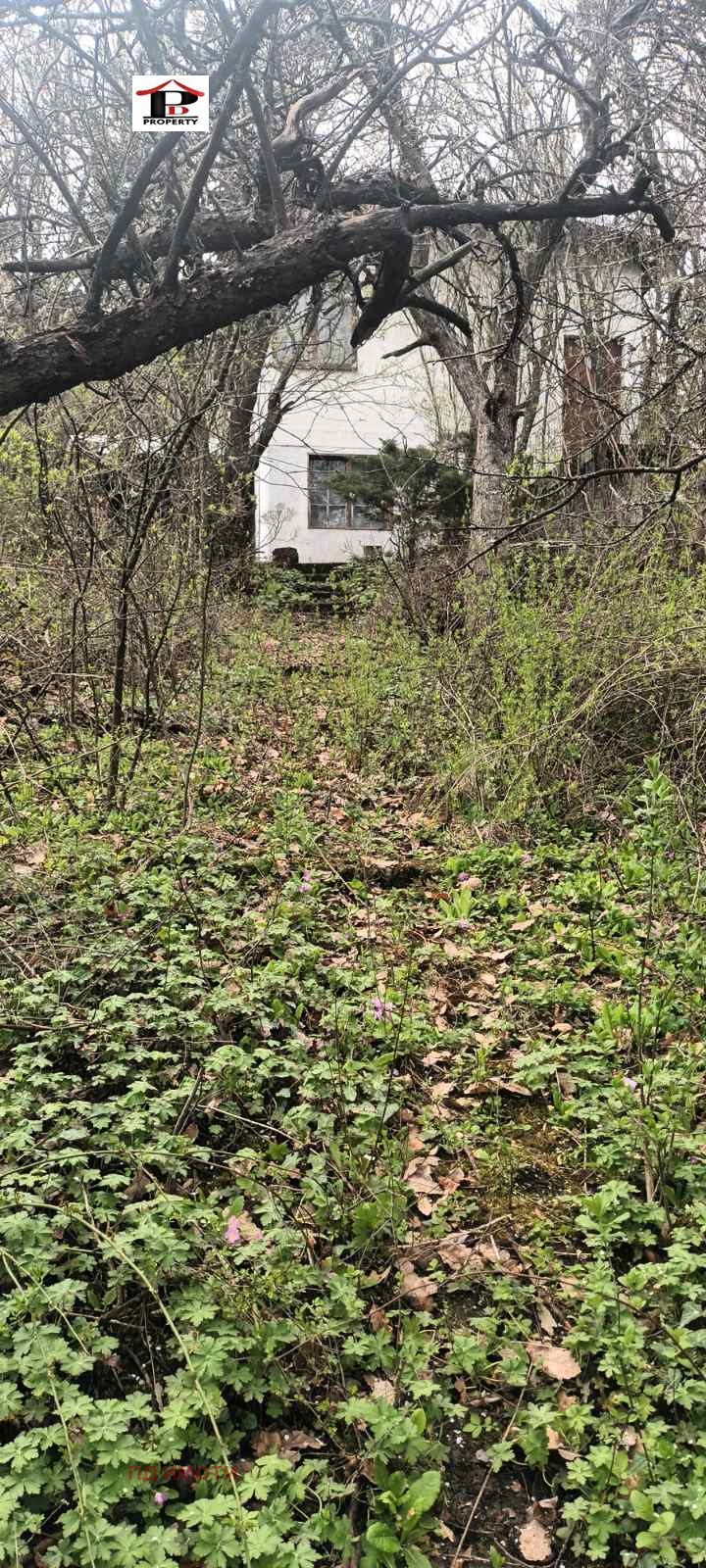 Na prodej  Spiknutí Sofia , Bankja , 840 m2 | 24084362 - obraz [6]