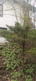 Продава ПАРЦЕЛ, град София, гр. Банкя • 238000 € / 465487.54 лв. • 81274023 12