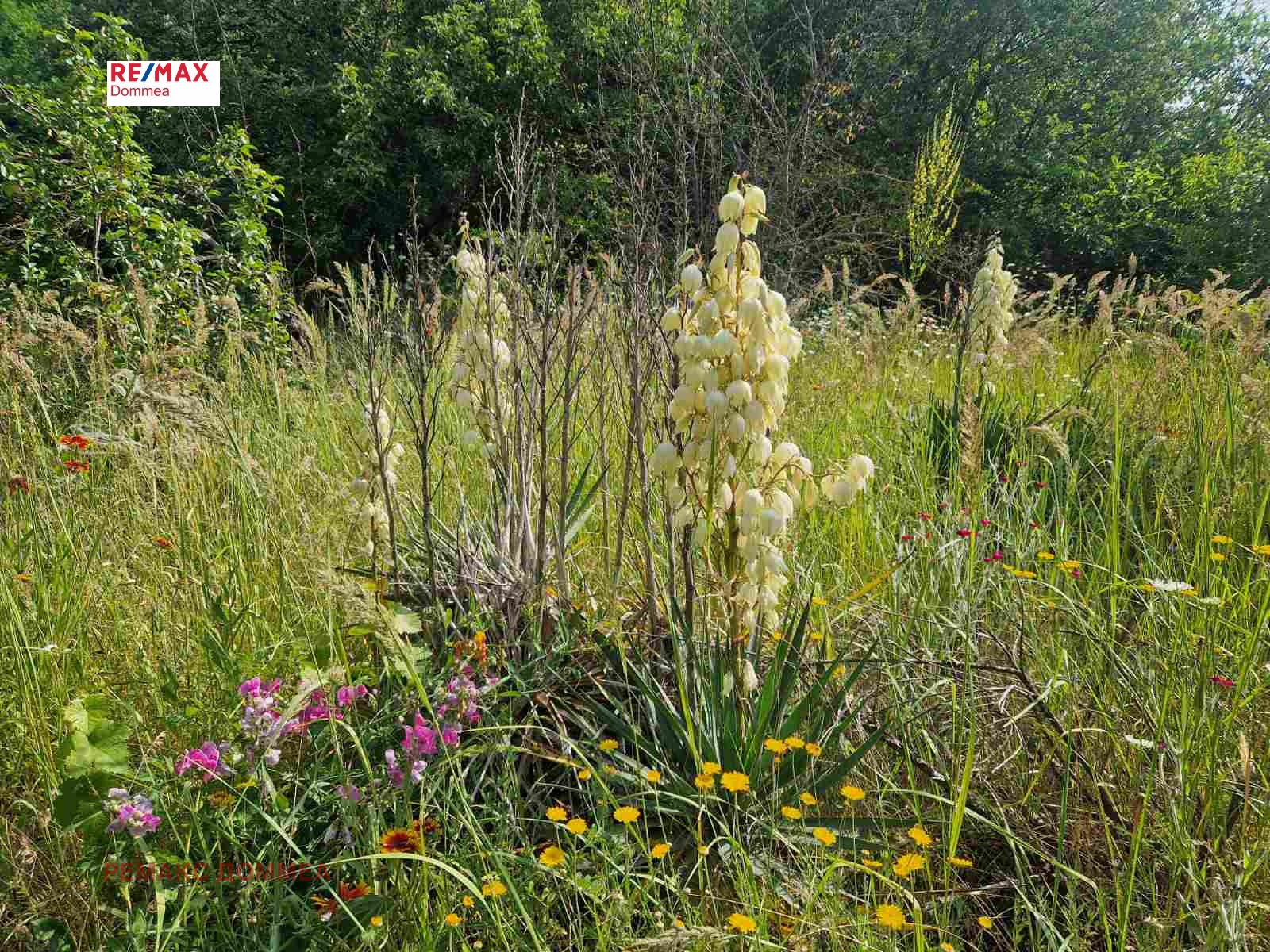 Продава ПАРЦЕЛ | Imot.bg — изображение 1