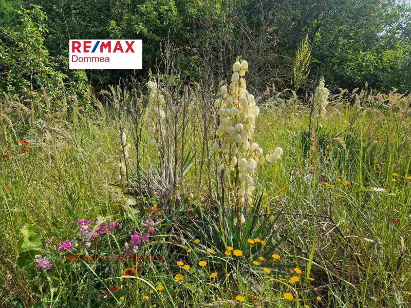 Te koop  Verhaallijn Varna , Izgrev , 1510 m² | 27955118