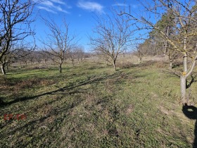 Hus Kochovo, region Shumen 4