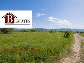 ������ ������� ������