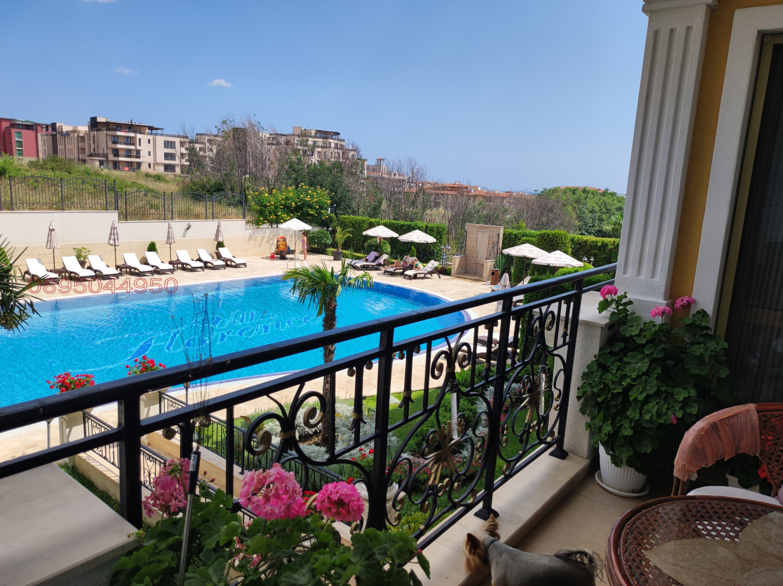 ������� 3-����� | Imot.bg � ����������� 12