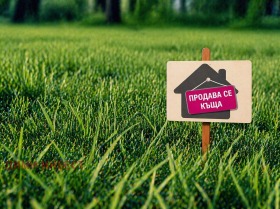 ����� ������� ����,���� ������, ������