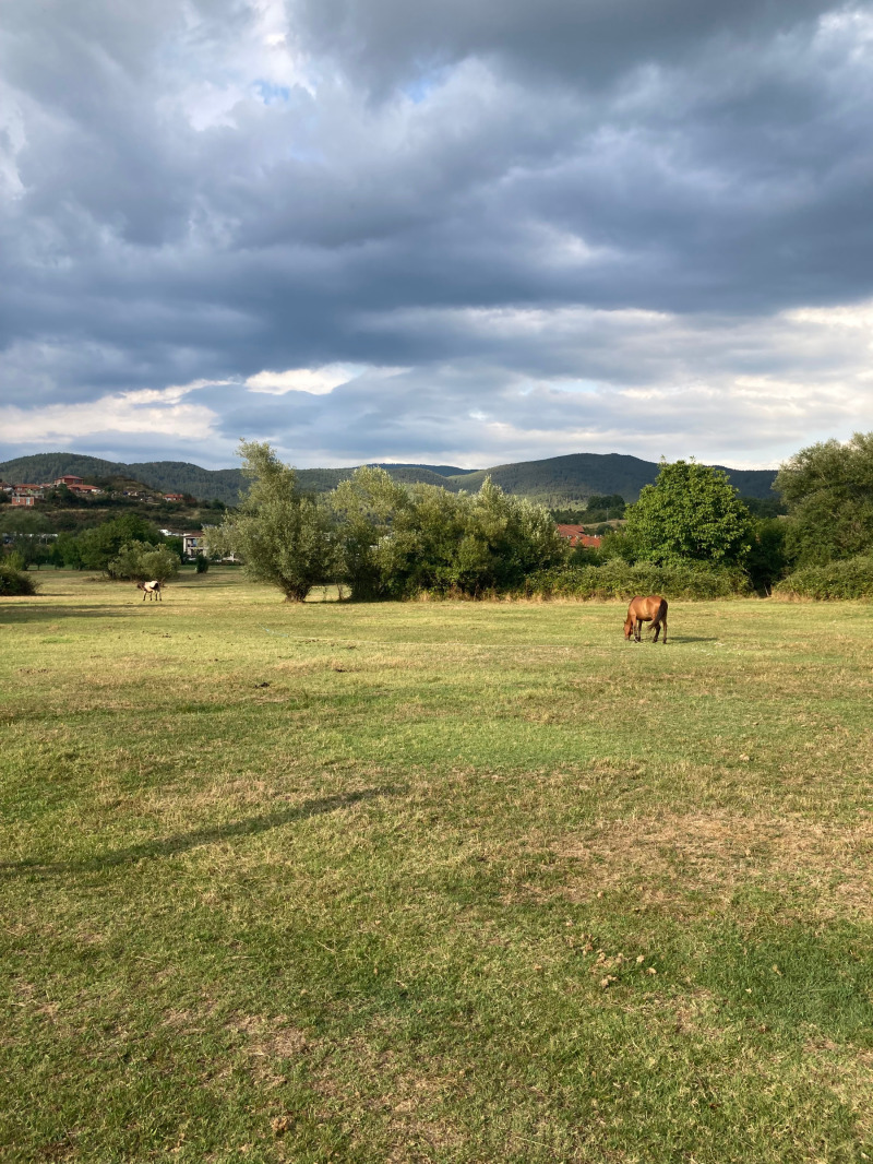 À venda  Trama região Blagoevgrad , Garmen , 5790 m² | 15653813 - imagem [2]