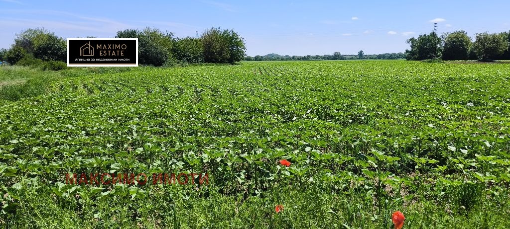 Продава ПАРЦЕЛ, с. Калояновец, област Стара Загора, снимка 7 - Парцели - 54571196