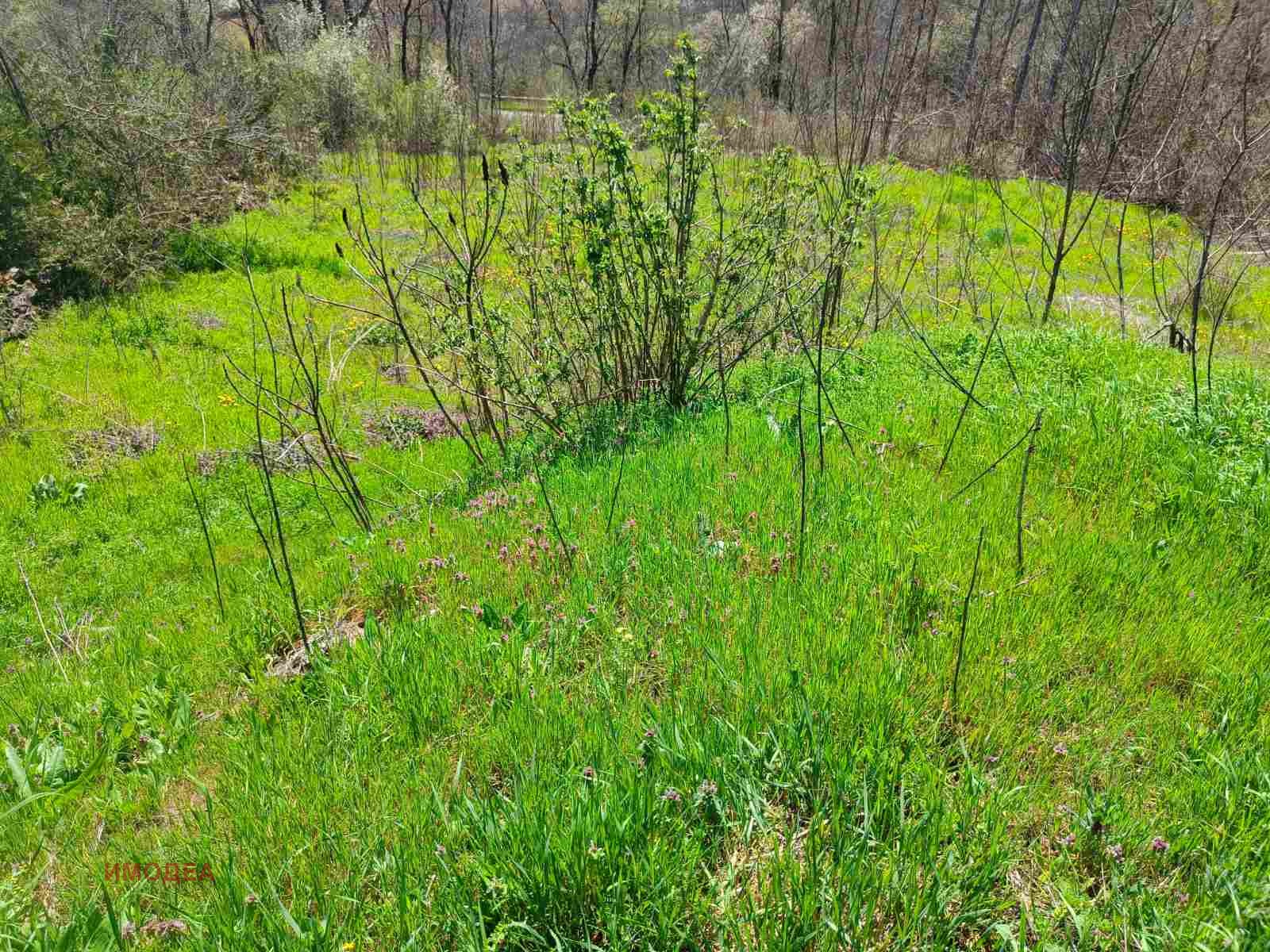 ������� ������ | Imot.bg � ����������� 3