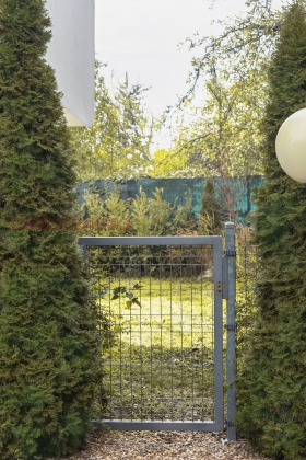 ����� ������� ����,���� �����, ����